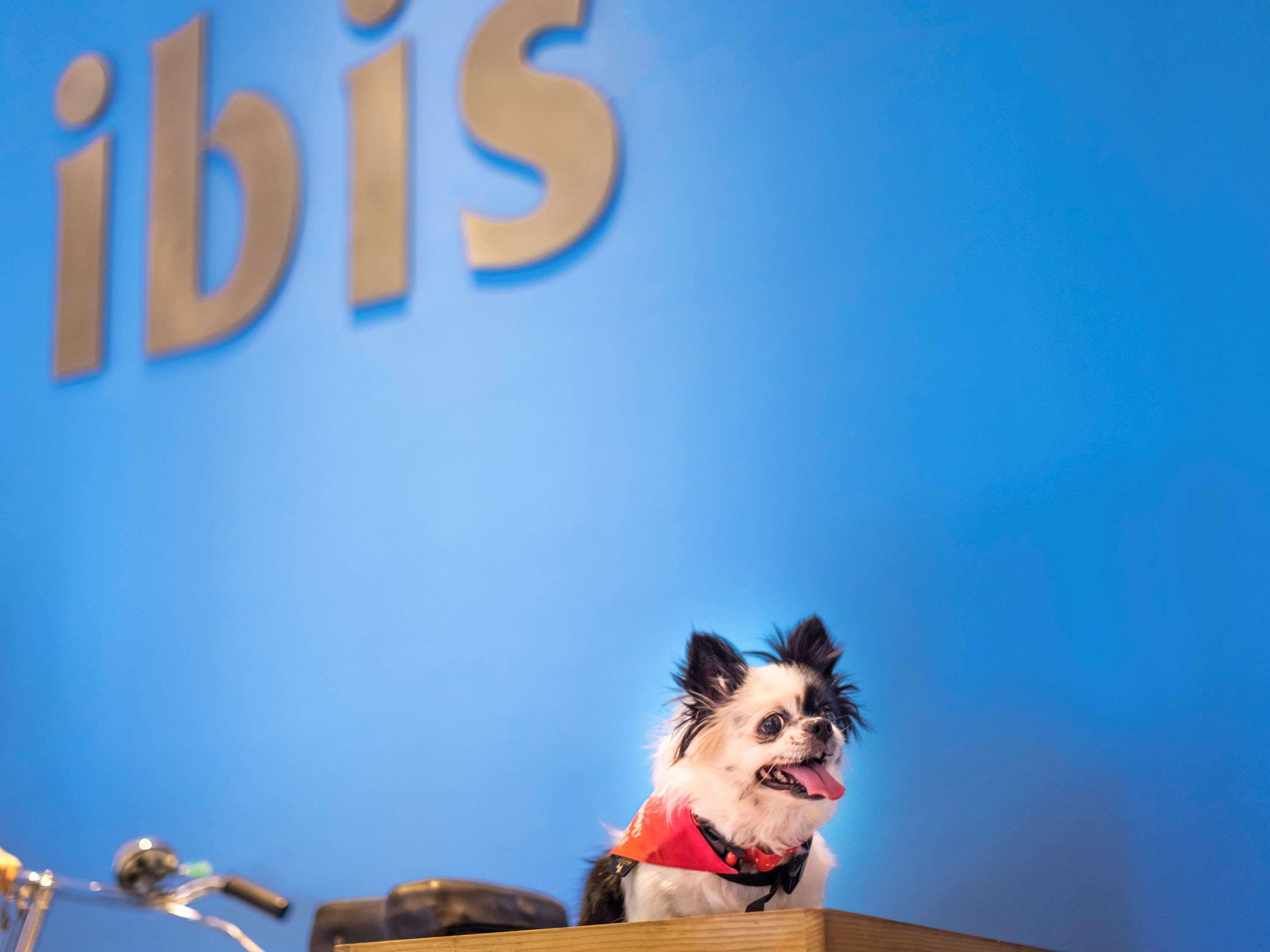 Ibis Pune Viman Nagar - An Accor Brand Екстериор снимка