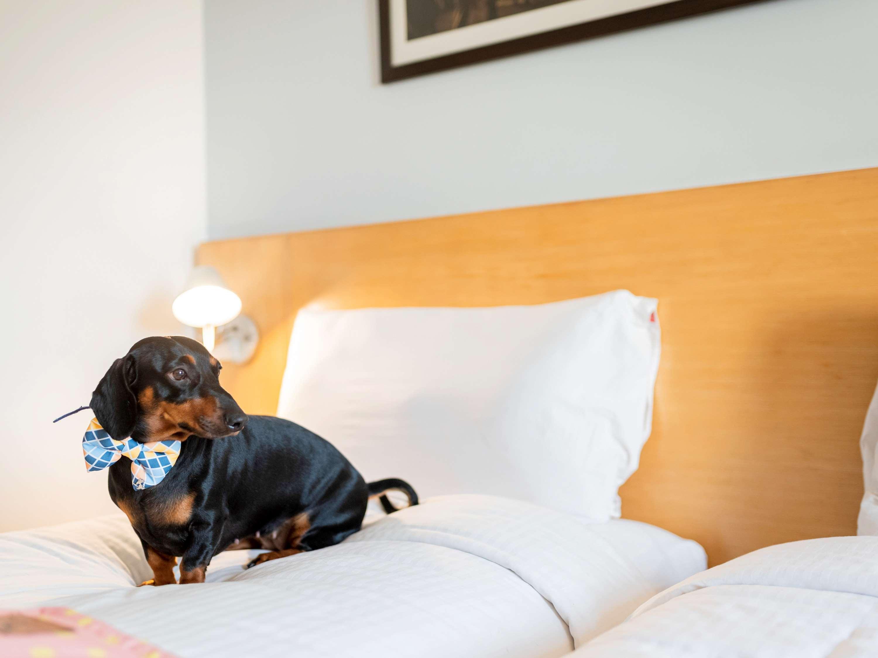 Ibis Pune Viman Nagar - An Accor Brand Екстериор снимка