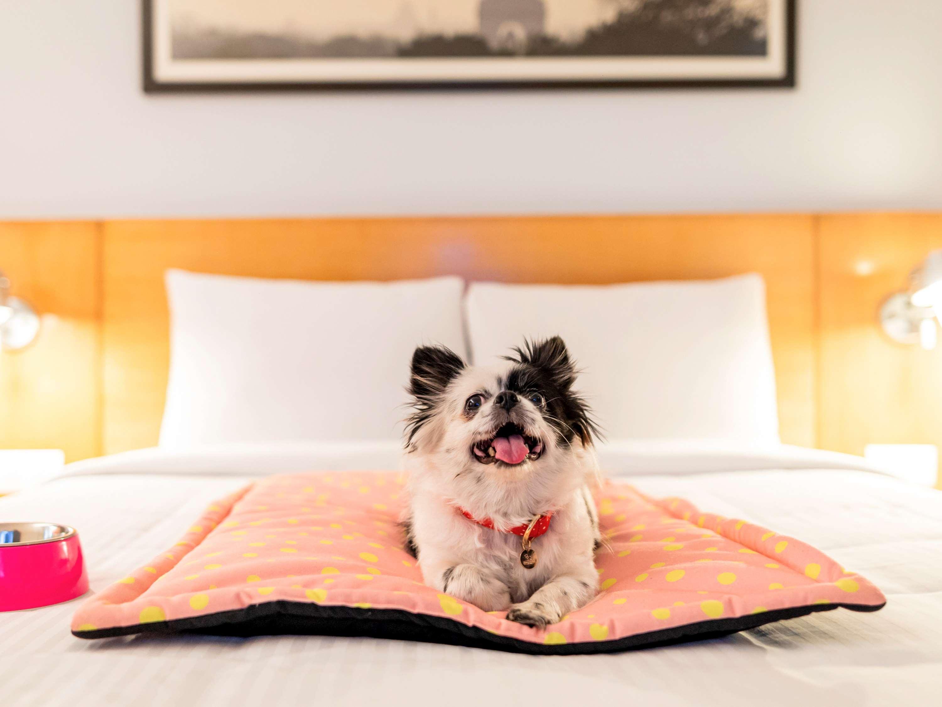 Ibis Pune Viman Nagar - An Accor Brand Екстериор снимка